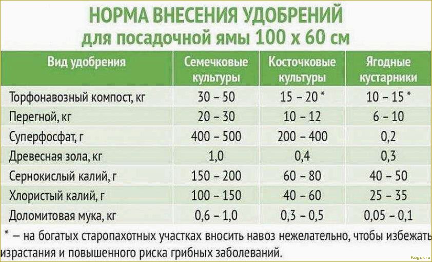 Оптимальные сроки полива картофеля в открытом грунте