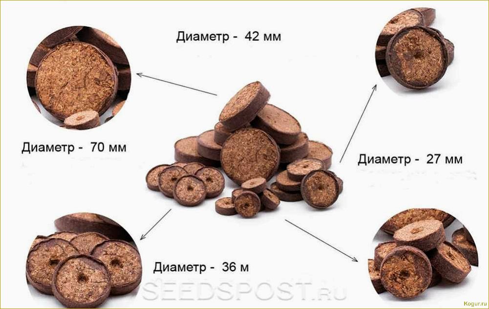 Свойства кокосовых таблеток для рассады