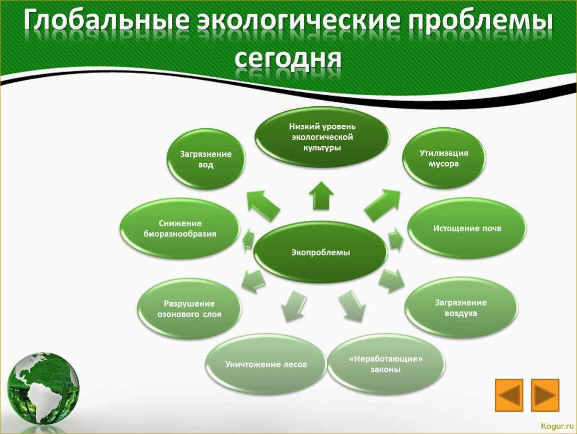 Возможности использования спанбонда в различных сферах нашей жизни