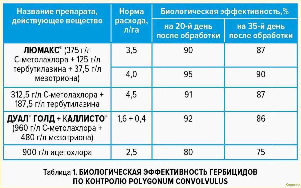 В помощь дачнику: инструкция к гербициду Дуал Голд и нормы расхода препарата