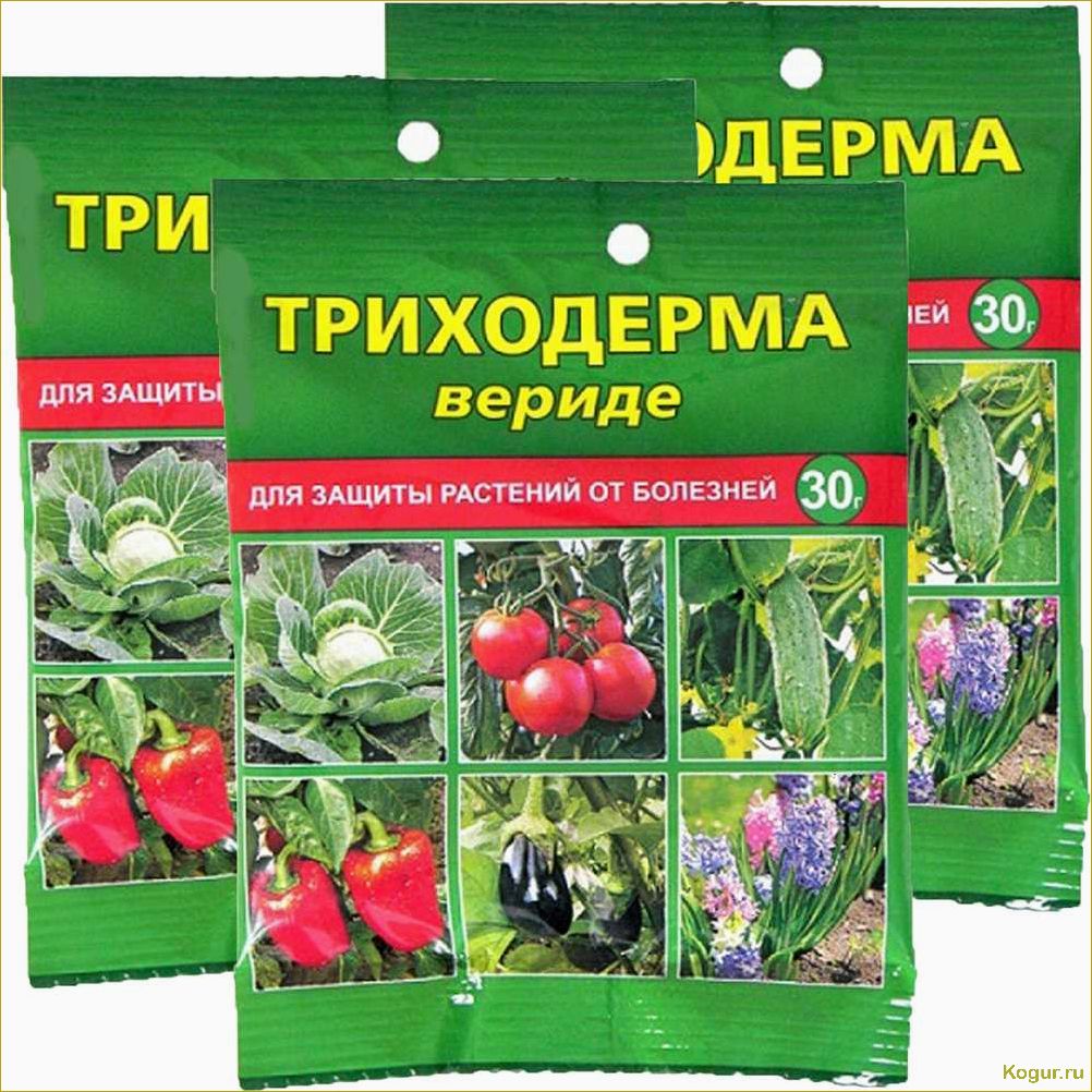 Биологический препарат Триходерма Вериде — уникальное средство защиты садовых растений