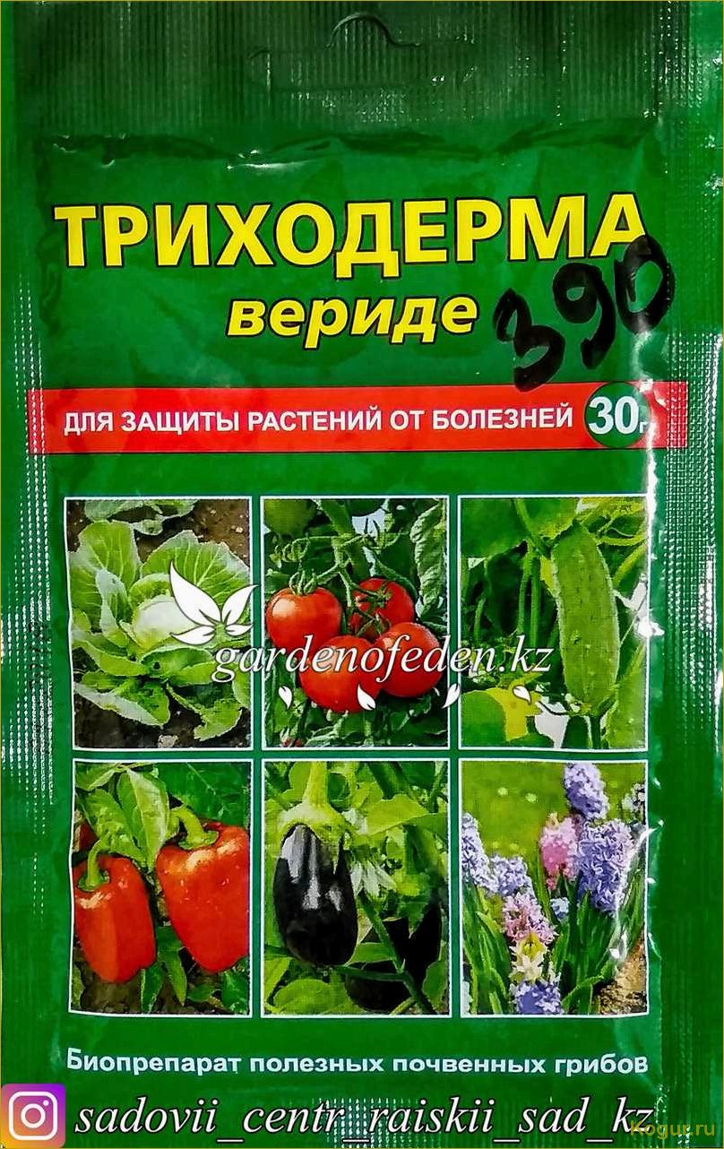 Биологический препарат Триходерма Вериде — уникальное средство защиты садовых растений