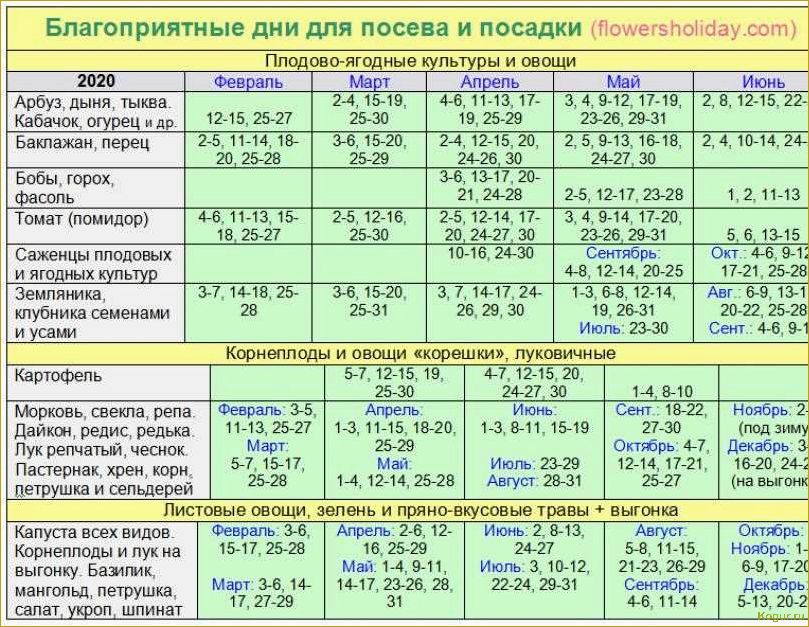 Оптимальное время для посева моркови в соответствии с лунным календарем