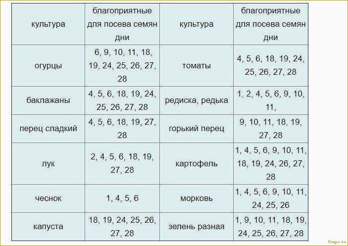 Оптимальное время для посева моркови в соответствии с лунным календарем