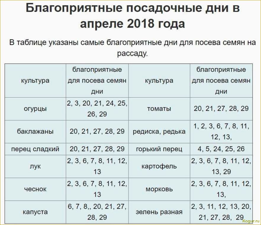 Оптимальное время для посева моркови в соответствии с лунным календарем