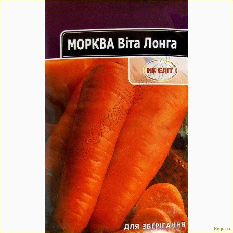 Морковь сорта Вита Лонга для длительного хранения