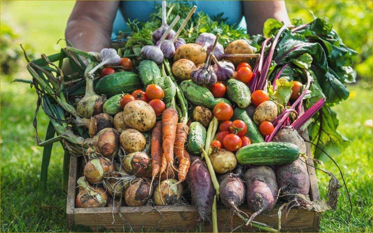 Повышаем урожай овощных культур при помощи теплых грядок