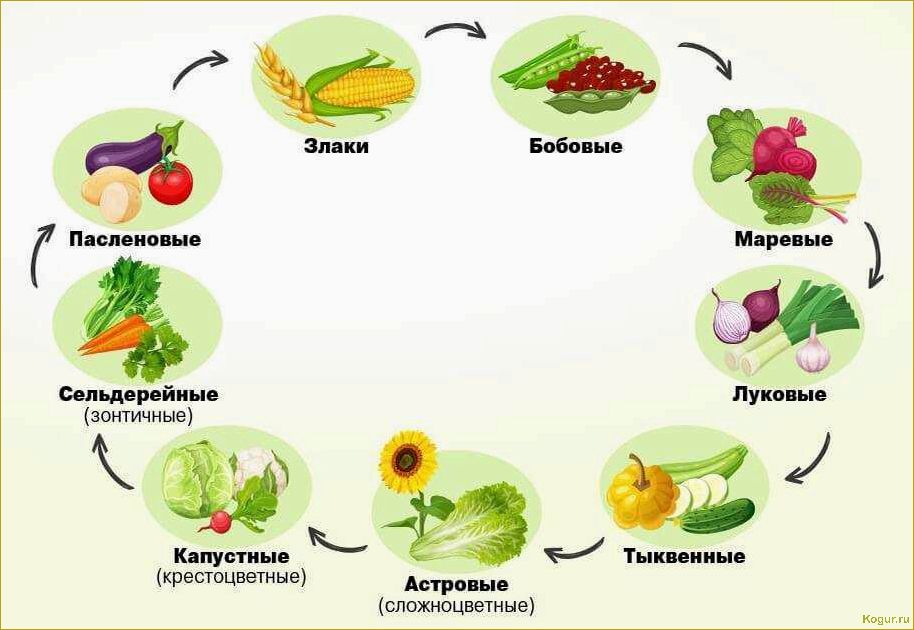 Повышаем урожай овощных культур при помощи теплых грядок