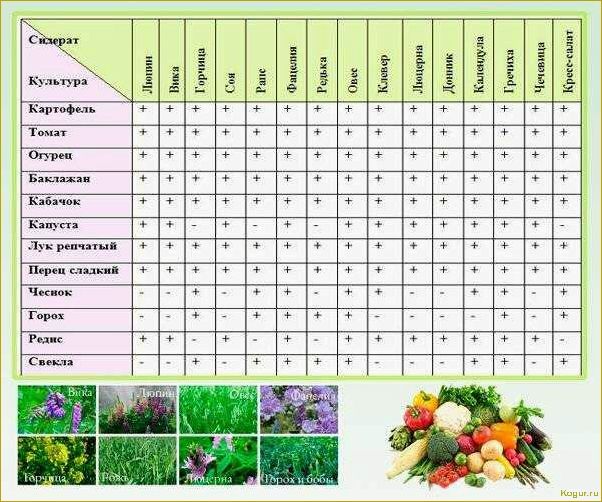 Повышаем урожай овощных культур при помощи теплых грядок