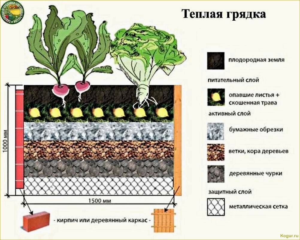 Повышаем урожай овощных культур при помощи теплых грядок