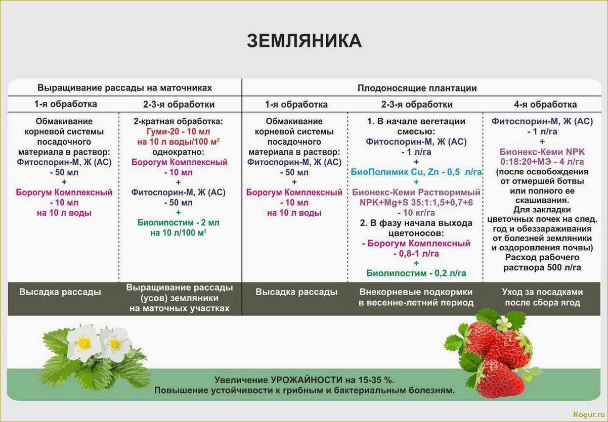 Удобрения для малины весной, летом и в начале осени