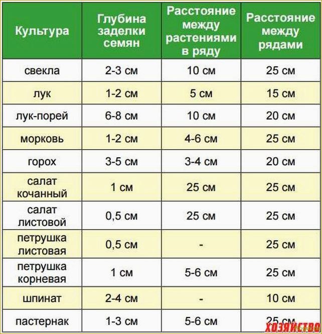 Когда сажать горох в открытый грунт для хорошего урожая