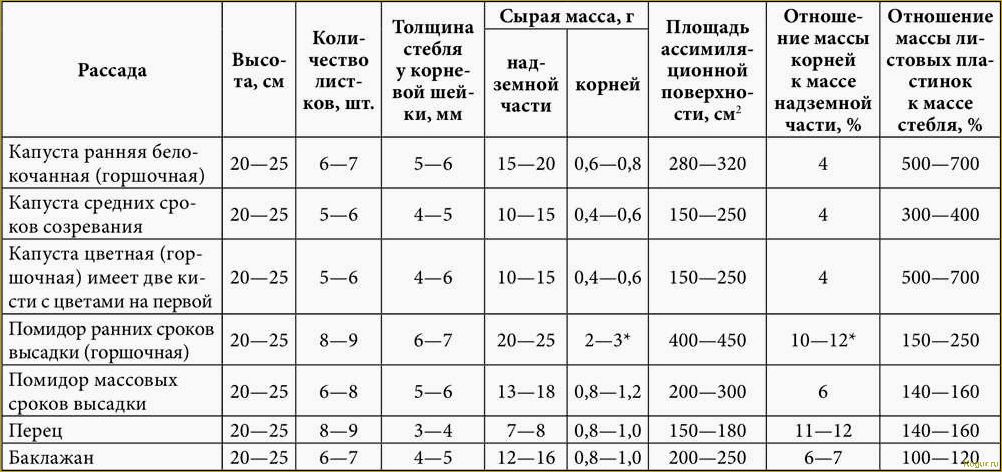 Февраль — время приятных хлопот в теплице