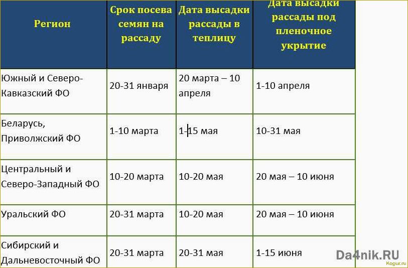 Февраль — время приятных хлопот в теплице