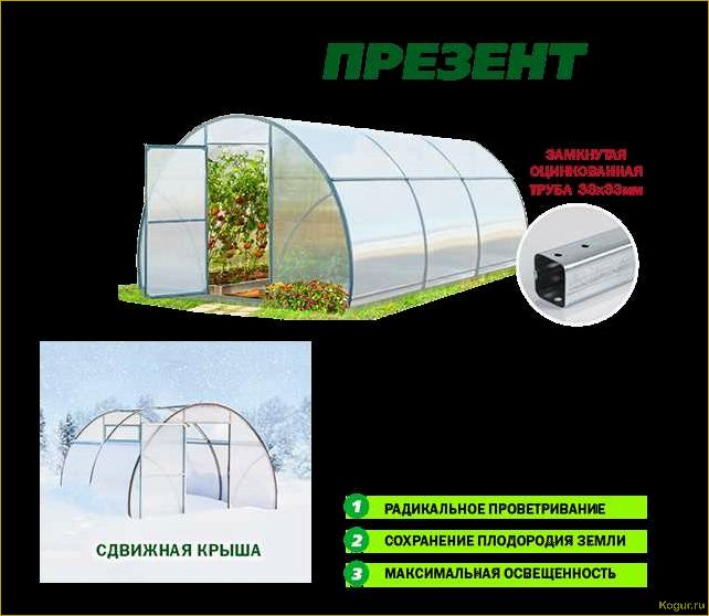 Февраль — время приятных хлопот в теплице