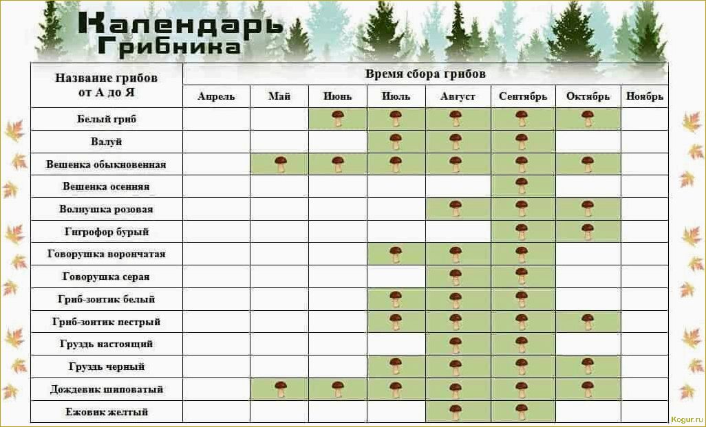 Февраль — время приятных хлопот в теплице