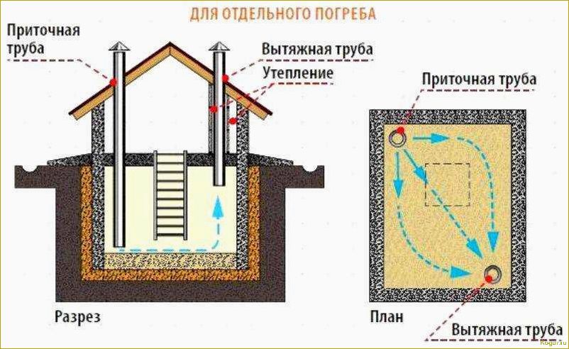 Как сделать вытяжку в погребе без ошибок и правильно