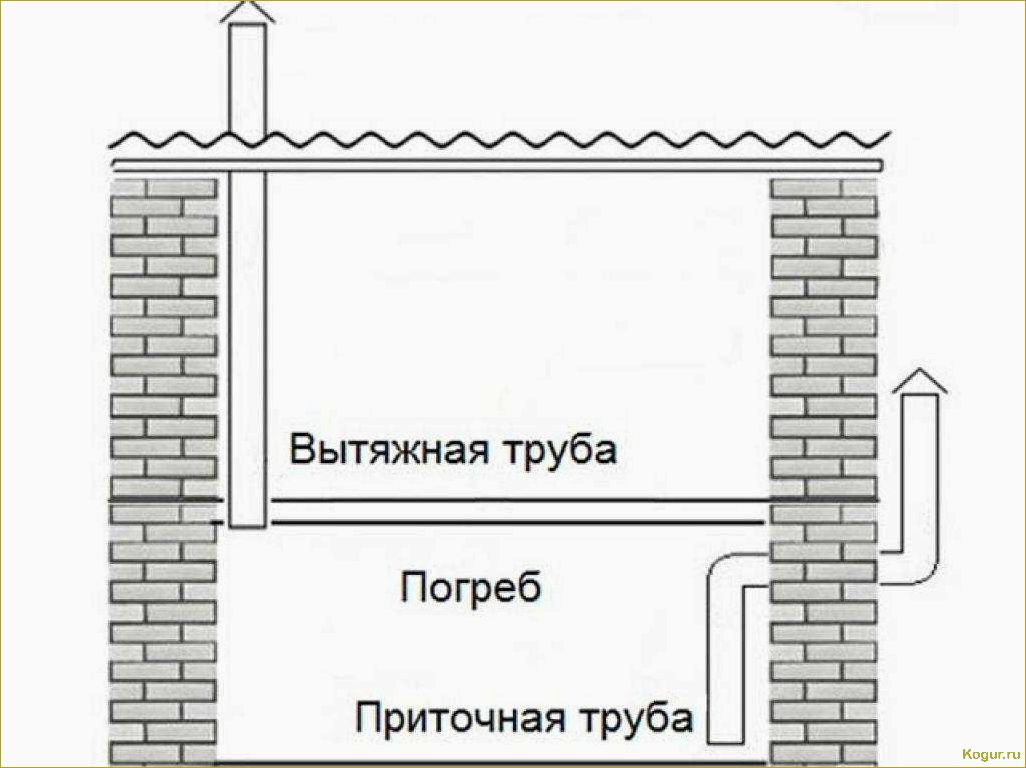 Как сделать вытяжку в погребе без ошибок и правильно