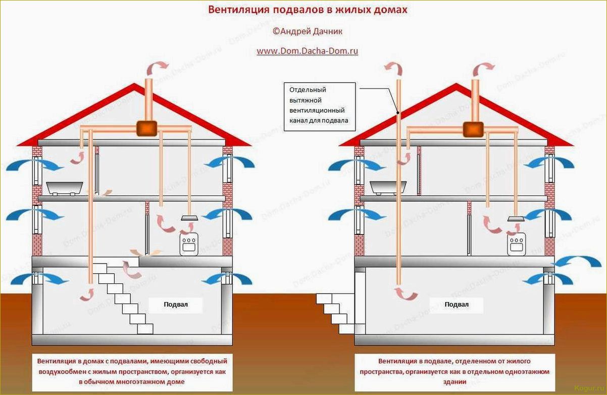 Как сделать вытяжку в погребе без ошибок и правильно