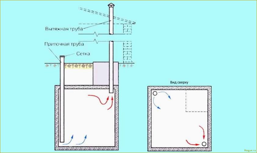 Как сделать вытяжку в погребе без ошибок и правильно