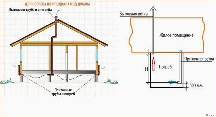 Как сделать вытяжку в погребе без ошибок и правильно