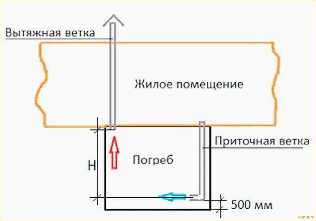 Как сделать вытяжку в погребе без ошибок и правильно