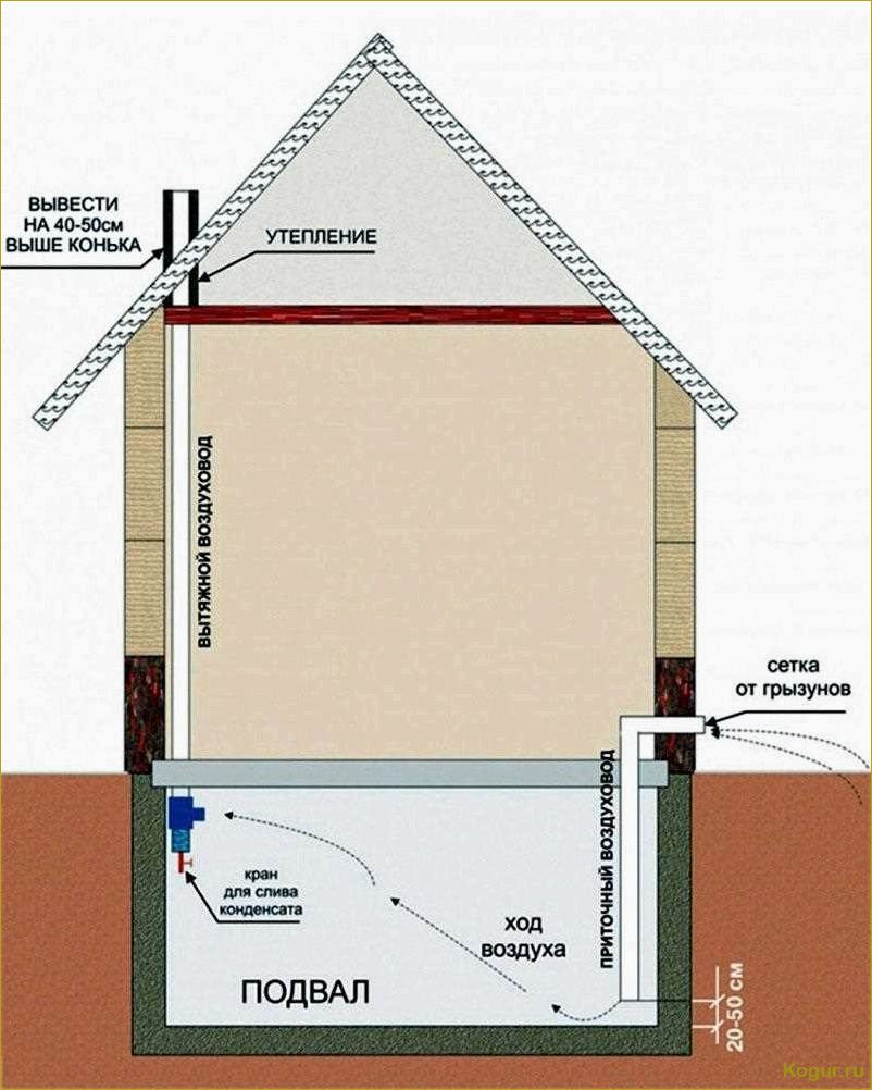 Как сделать вытяжку в погребе без ошибок и правильно
