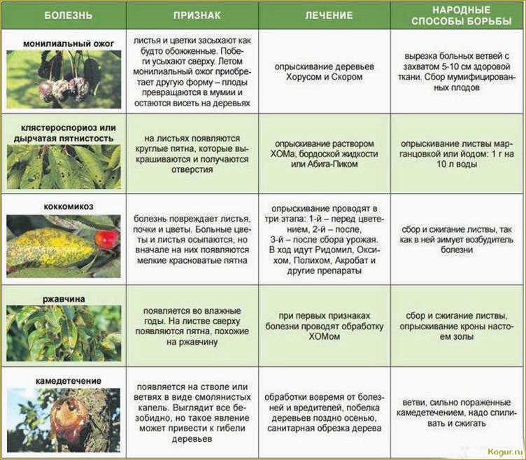 Методы борьбы с вредителями и болезнями яблонь