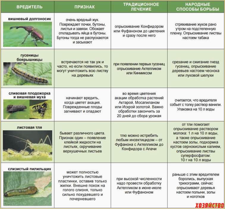 Методы борьбы с вредителями и болезнями яблонь