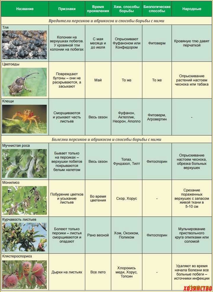 Методы борьбы с вредителями и болезнями яблонь