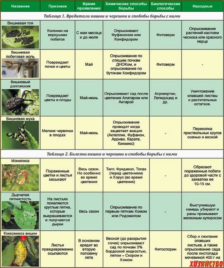 Методы борьбы с вредителями и болезнями яблонь