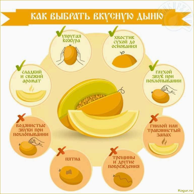 Влияние употребления дыни при панкреатите: польза или вред?