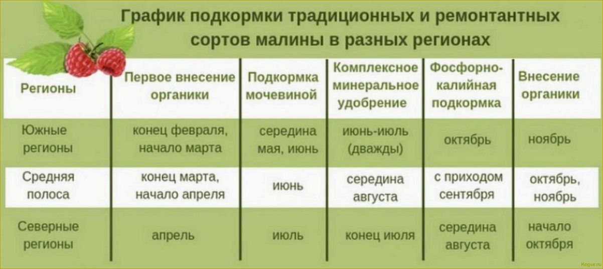 Подкормка посадок смородины для получения хорошего урожая