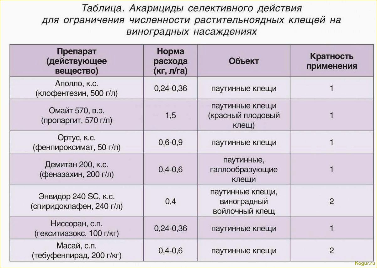 Правила борьбы с вредителями в инструкции по применению акарицида Вертимек