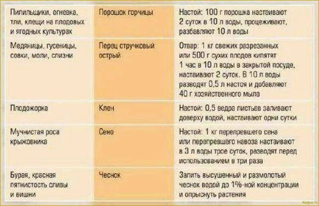 Подкормка клубники йодом: защита от вредителей и болезней