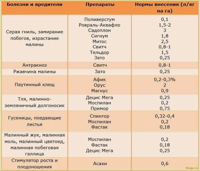 Подкормка клубники йодом: защита от вредителей и болезней