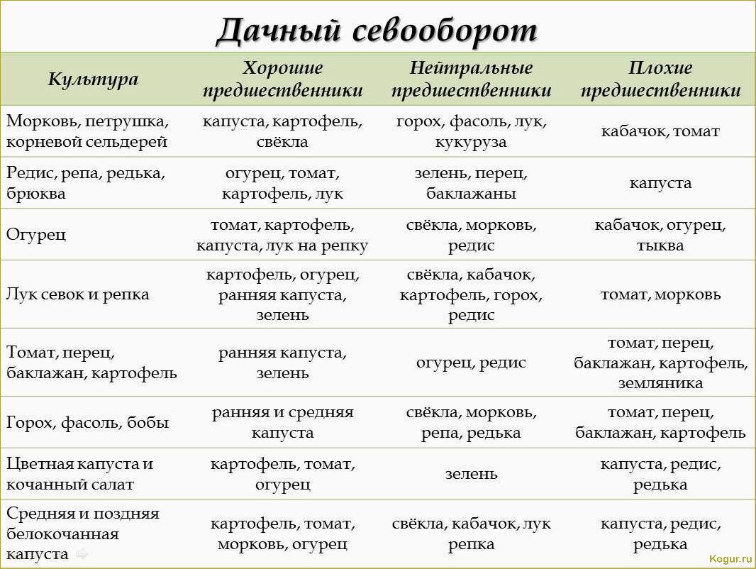 Севооборот: что после чего сажать на огороде и даче, таблица совместимости