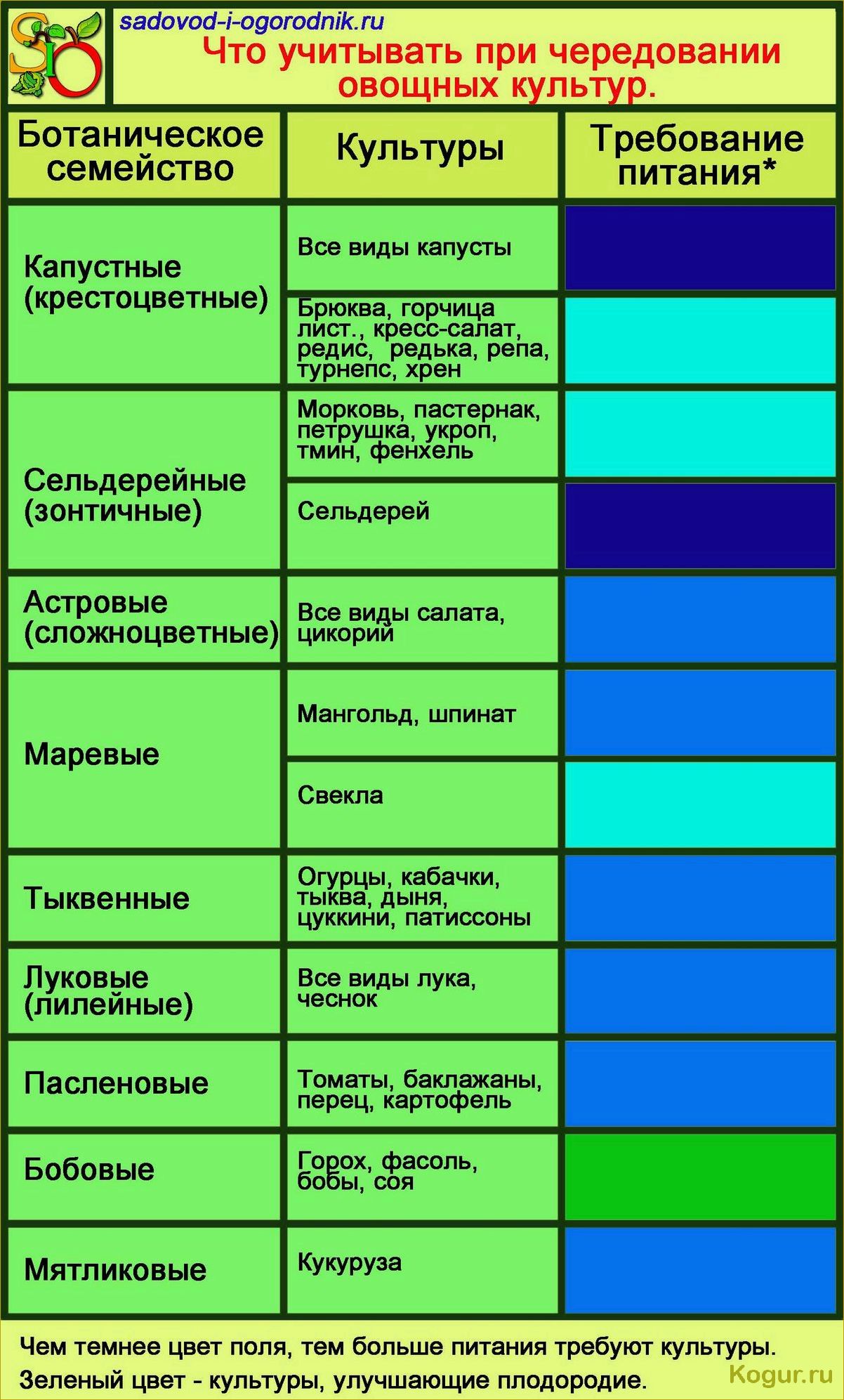 Севооборот: что после чего сажать на огороде и даче, таблица совместимости