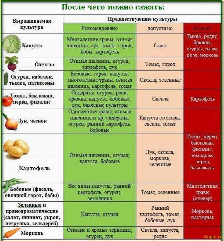 Севооборот: что после чего сажать на огороде и даче, таблица совместимости