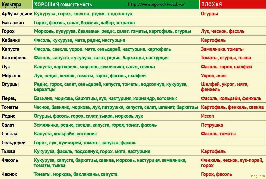 Севооборот: что после чего сажать на огороде и даче, таблица совместимости