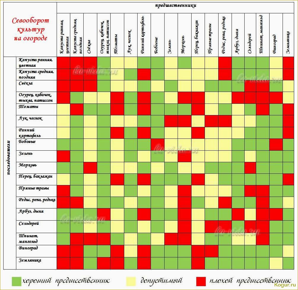 Севооборот: что после чего сажать на огороде и даче, таблица совместимости