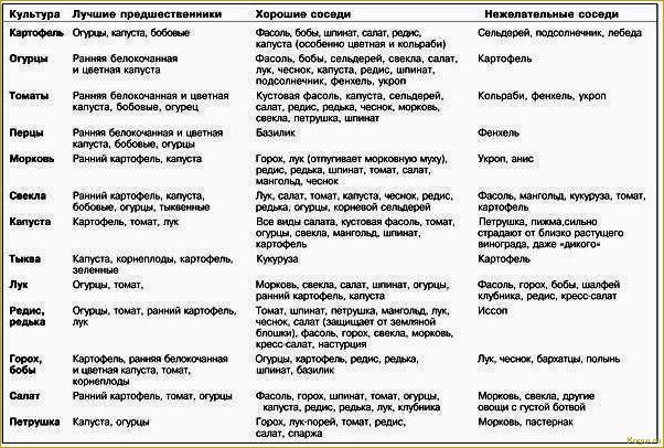 Севооборот: что после чего сажать на огороде и даче, таблица совместимости