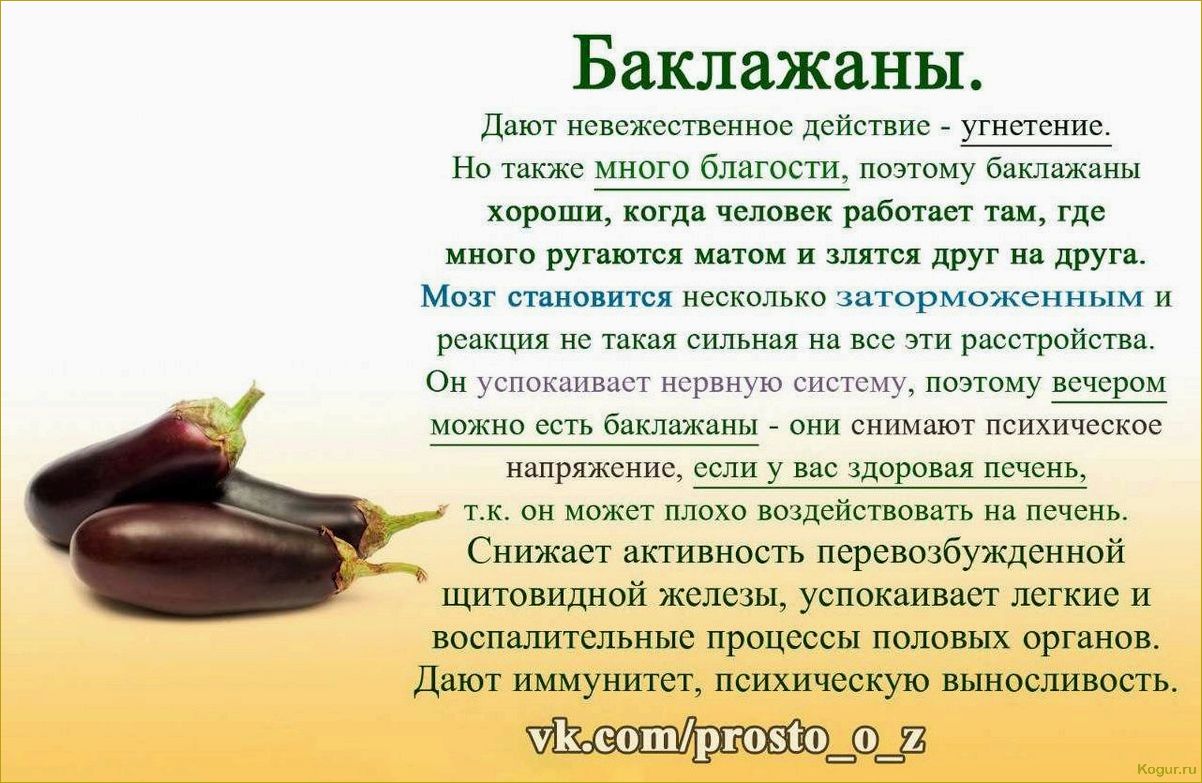 Выбирайте наиболее подходящие сорта и виды баклажанов для успешного выращивания на вашей грядке