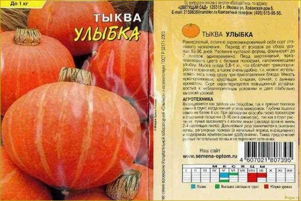 Сорта тыквы: фото, описание и характеристики (часть 1)