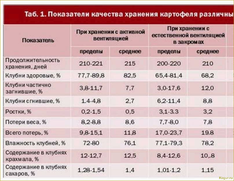 Способы длительного хранения картофеля