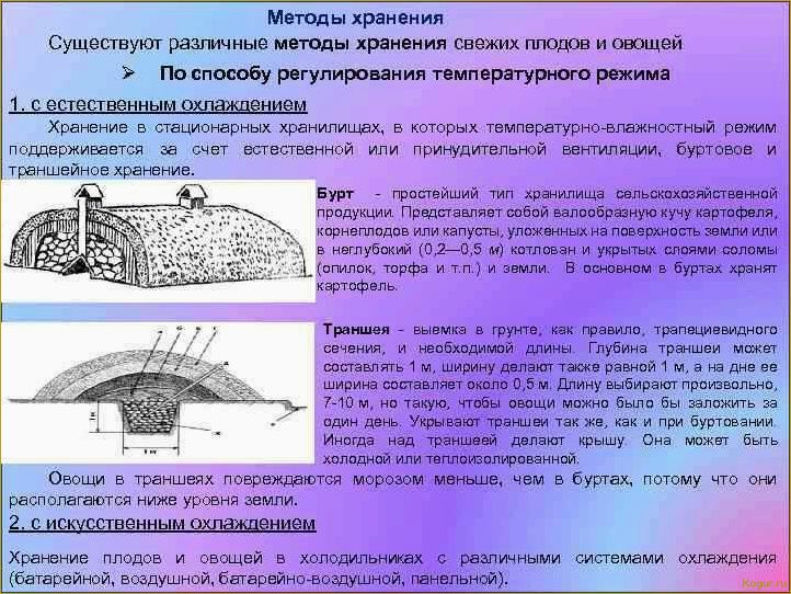 Способы длительного хранения картофеля