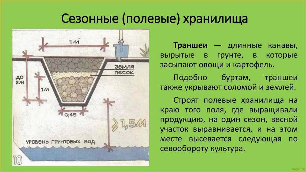 Способы длительного хранения картофеля