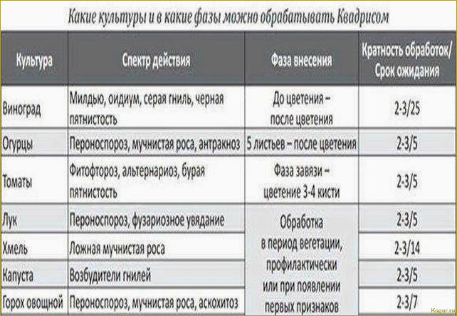 (фунгицид, квадрис, быстрая, смерть, грибковых) Фунгицид «Квадрис» — быстрая смерть для грибковых споров