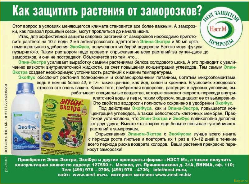 Как эффективно защитить растения от весенних заморозков