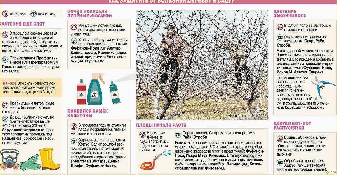 Как эффективно защитить растения от весенних заморозков